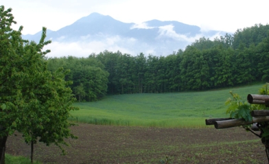 boschi_lucani_accett