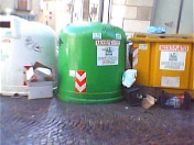 rifiuti_cassonetti_a