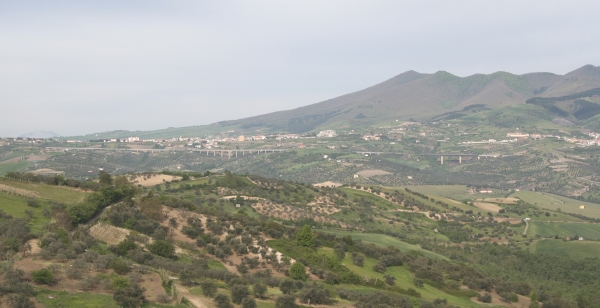 vulture_rione&hellip;
</p>
</div><a href=