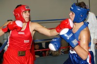 simone_laurita boxer