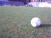 pallone
