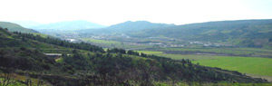 ferrandina-zona-ind